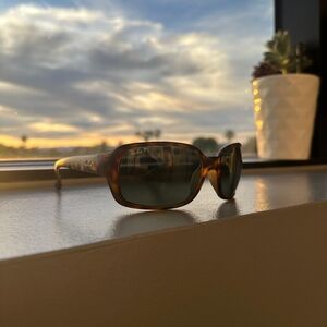 Ray-Ban Polarized Tortoise Sunglasses- Timeless Design
